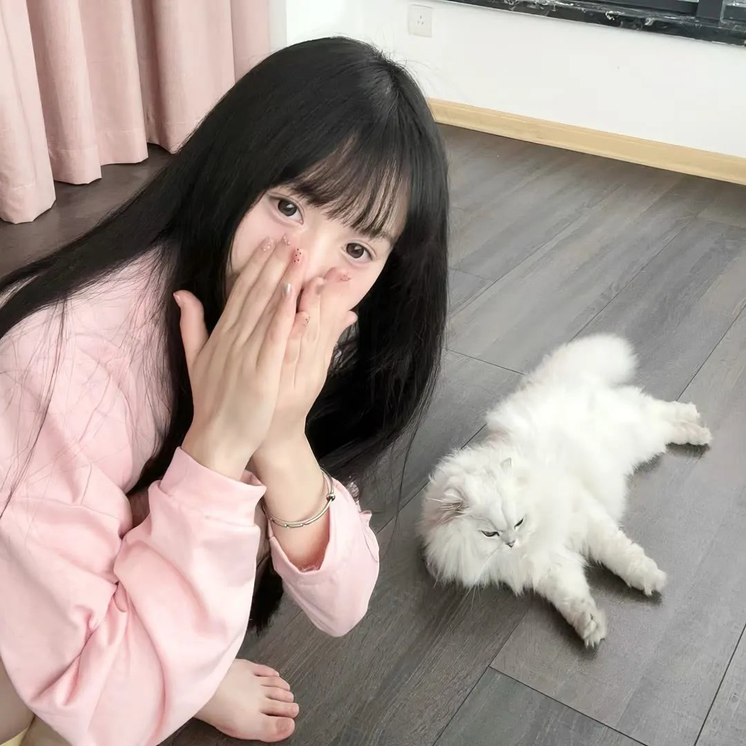 老狼请客